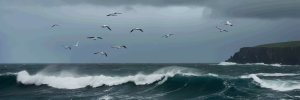 6aa120ca90bc02026-09-09_00-40-06_6332.png