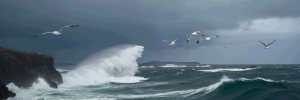 6aa120cad5fa12026-09-09_00-44-21_7658.png