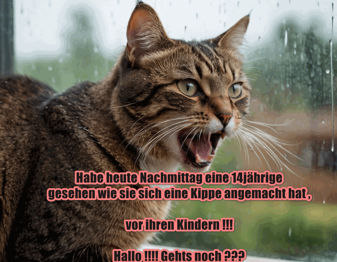 Meme